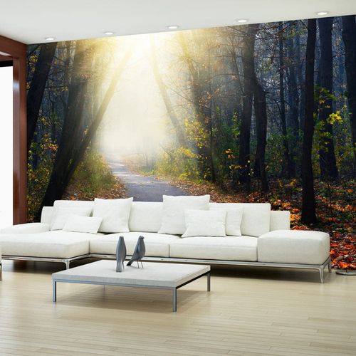 Fototapeta - Droga przez las - 100X70 na Arena.pl