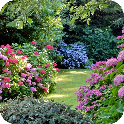 Nawóz uniwersalny do ogrodu 3kg AZOFOSKA granulowany OBFITE PLONY na Arena.pl