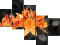 100 75CM OBRAZ 5 ELEM SOCZYSTA AZALIA ŚCIENNY