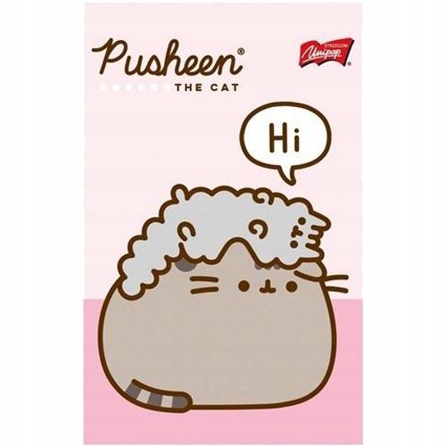zestaw upominkowy pusheen mint 4877 na Arena.pl