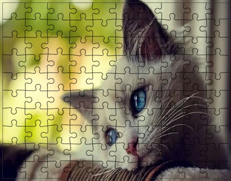 Puzzle Koty zdjęcie 1