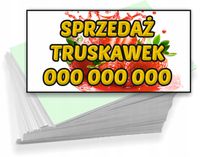 Wizytówki firmowe 200 szt WIELE RÓŻNYCH WZORÓW do wyboru SPRZEDAŻ TRUSKAWEK