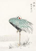 Plakat 21x29,7cm White-naped Crane, Kashu Vintage do Salonu