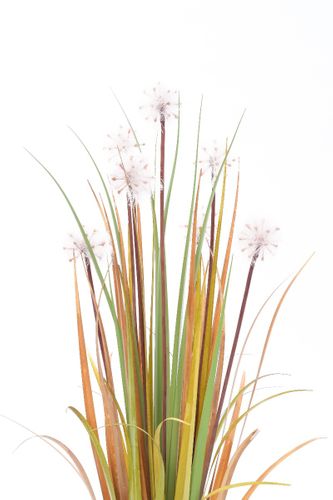 Trawa pionowa Dandelion 70cm na Arena.pl