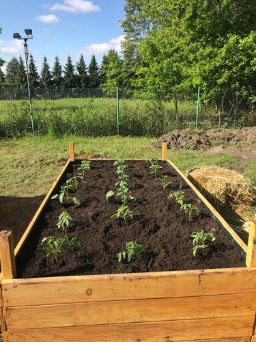 Grządka podwyższona GP12, 200x100x27, modrzew, śruby na Arena.pl