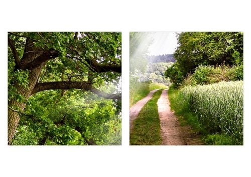 Zegar Ścienny - Las Pole Droga - 60X60 Cm - C3Ar60X60-2637 na Arena.pl
