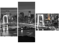 OBRAZ RAINBOW BRIDGE WANGAN