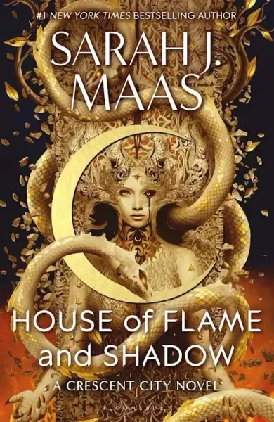 House of Flame and Shadow zdjęcie 1