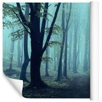 Fototapeta Las we Mgle Drzewa Natura do Salonu 300x210