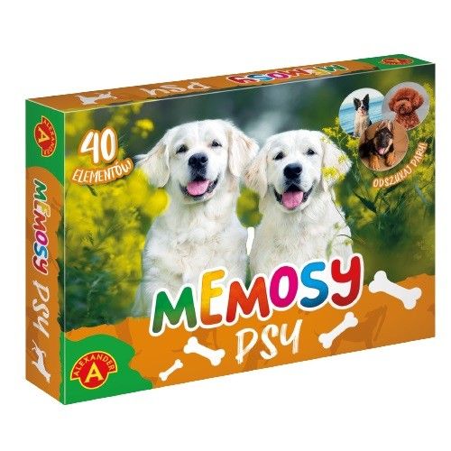 Gra Pamięć-Memosy-Psy na Arena.pl