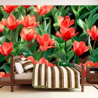product-compare-63650614