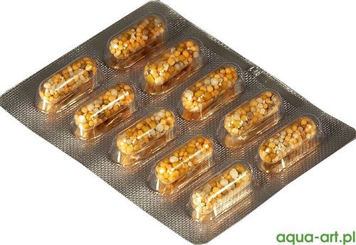 Planta Gainer Caps 10 szt. na Arena.pl