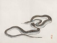 Plakat 80x60cm Snake, Kōno Bairei