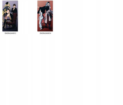 Dakimakura Noragami DO WYBORU 60x30 na Arena.pl