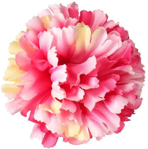 GOŹDZIK GOŹDZIKI GŁÓWKA WYROBOWA KWIAT PREMIUM x12 na Arena.pl