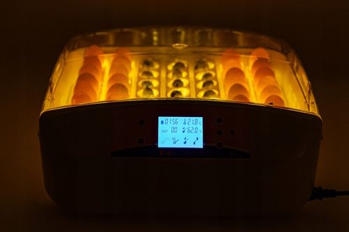 INKUBATOR AUTOMATYCZNY OVO do 56 JAJ wylęgarka klujnik + PRZEŚWIETLARKA na Arena.pl