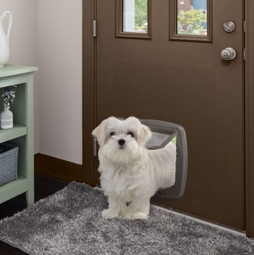 Brązowe drzwiczki dla średnich i dużych psów oraz dużych kotów - Swing 9 na Arena.pl