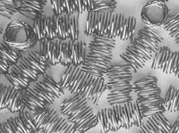 Sprężynki nierdzewne pryzmatyczne wypełnienie 1 L
