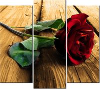 90 80CM OBRAZ T3 ELEM RÓŻA UKOCHANEJ DRUK ŚCIENNY