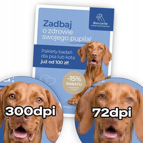 Ulotki A6 100 sztuk DWUSTRONNE / jednostronne | mat / błysk + wizualizacja na Arena.pl