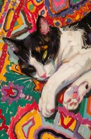 product-compare-59407769