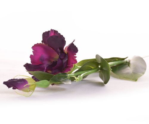 Eustoma fioletowa z fuksją na Arena.pl