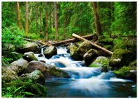 FOTOTAPETA WODOSPAD 3D LAS NATURA DO SYPIALNI SALONU TAPETA ŚCIENNA 400x280