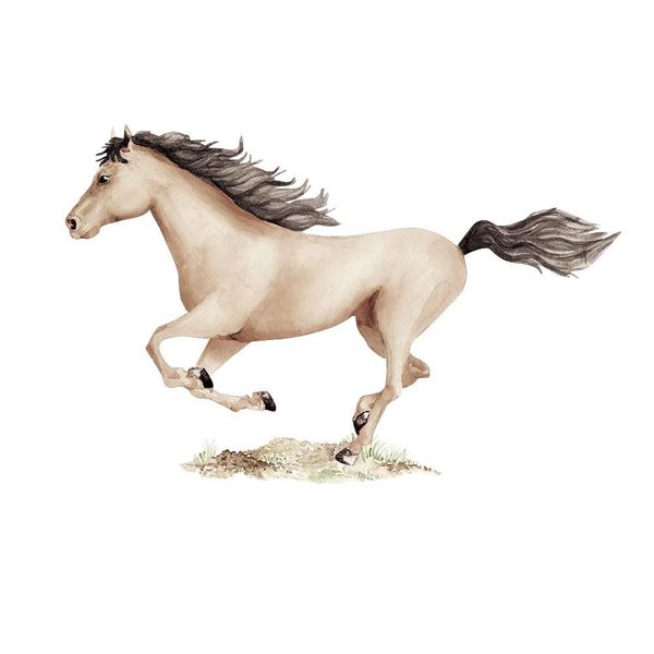 Naklejka Koństanty Karmelowy DK377 L zdjęcie 3