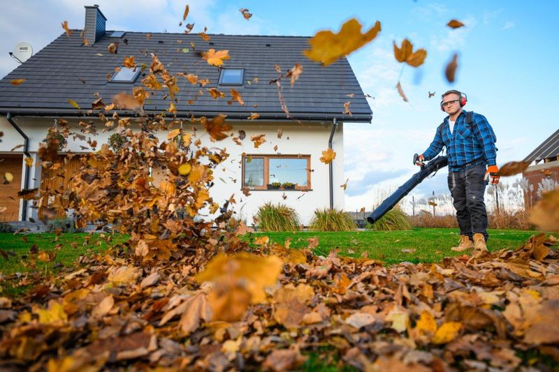 CEDRUS DM05 PRO PROFESJONALNY ODKURZACZ  DMUCHAWA SPALINOWA OGRODOWA DO LIŚCI - OFICJALNY DYSTRYBUTOR - AUTORYZOWANY DEALER CEDRUS zdjęcie 39