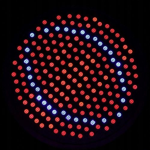 Mocna Żarówka Led E27 Grow 200Led Do Uprawy Roślin na Arena.pl