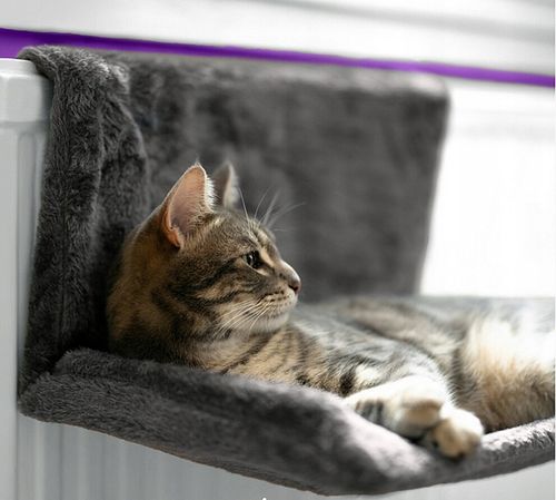 LEGOWISKO WISZĄCE PLUSZOWE HAMAK DLA KOTA NA KALORYFER BALKON na Arena.pl