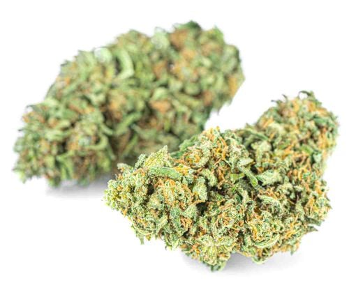 Susz konopny AK 47 CBD PREMIUM 2g na Arena.pl