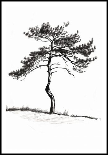 Plakat 68x101cm Samotna Sosna na Arena.pl