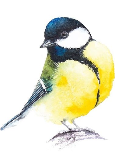 Gra Łąka (Meadow) PL na Arena.pl