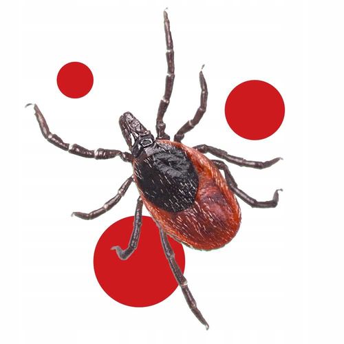 bros - spray na komary i kleszcze max 90ml - 1 szt. na Arena.pl