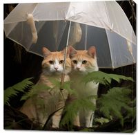 Obraz 100x100cm Podwójna Ochrona