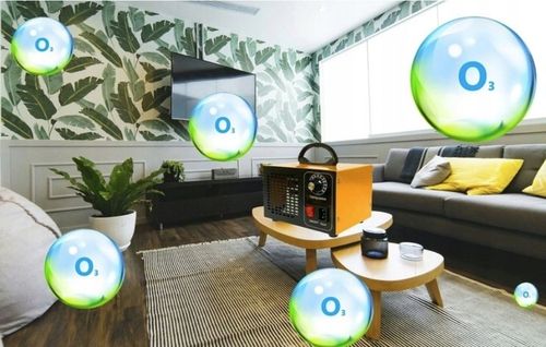 GENERATOR OZONU OZONATOR Czasomierz 28000 mg/h na Arena.pl