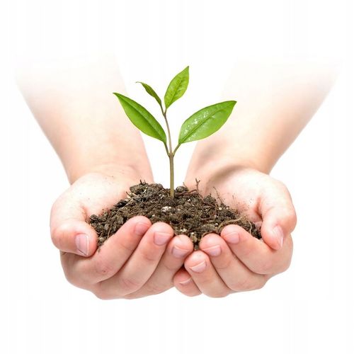 AGROWŁÓKNINA AGROTKANINA UV NA CHWASTY 1,6x100m + 100 SZPILEK na Arena.pl