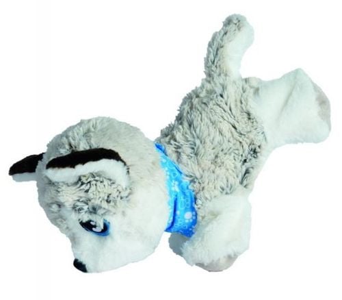Happy Husky. Chi Chi Love na Arena.pl