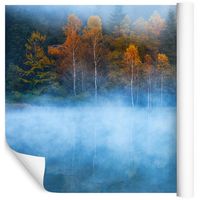 Fototapeta Las we Mgle Widok JEZIORO do Salonu 300x210