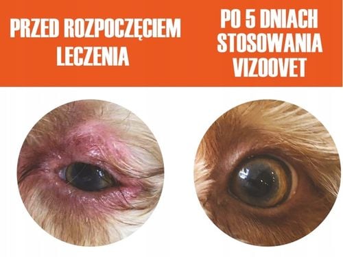 VIZOOVET PROTECT - Krople do oczu dla psa na Arena.pl