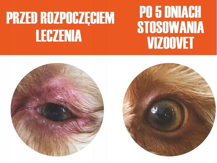 VIZOOVET PROTECT - Krople do oczu dla psa zdjęcie 4