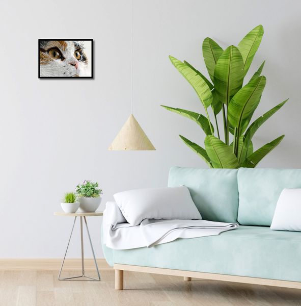 Plakat 35x25cm Nitkowany Kot zdjęcie 4