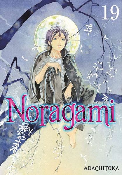 Noragami. Tom 19 zdjęcie 1