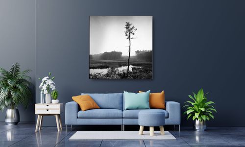 OBRAZ NA PŁÓTNIE 093 Sosna 70x70cm na Arena.pl