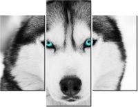 product-compare-58710122