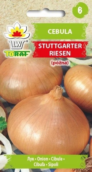 Cebula Stuttgarter Riesen nasiona 3g zdjęcie 1