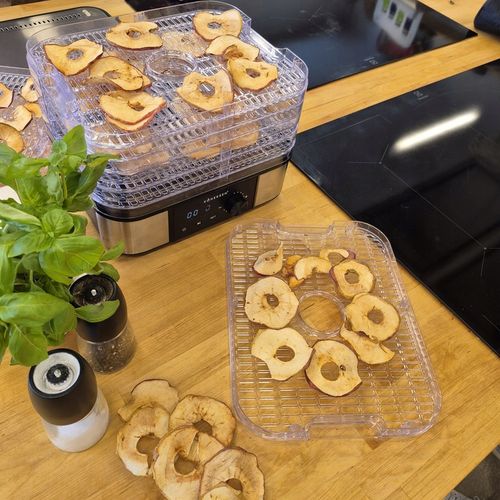 DUŻA Suszarka do grzybów 7 TACEK! warzyw owoców ziół Kohersen MAX na Arena.pl