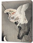 Obraz 50x70cm Scops Owl in Moonlight, Koson Japoński Vintage do Salonu