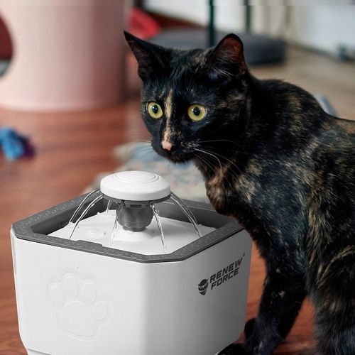 POIDEŁKO FONTANNA AUTOMATYCZNA DLA KOTA PSA ZWIERZĄT POIDŁO MISKA 2,5L na Arena.pl